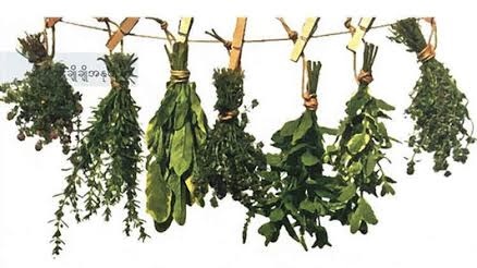 မြန်မာတိုင်းရင်းဆေးများ